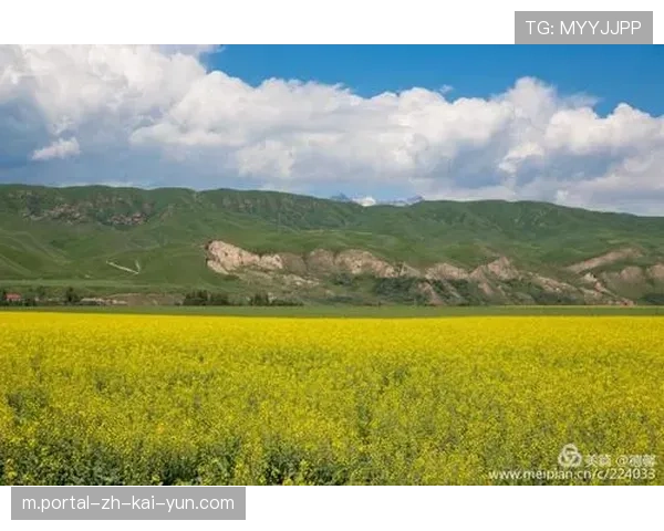 两黄变一红过程仅三分钟 拉唐情绪管理需加强 两黄变一红过程仅三分钟 拉唐情绪管理需加强